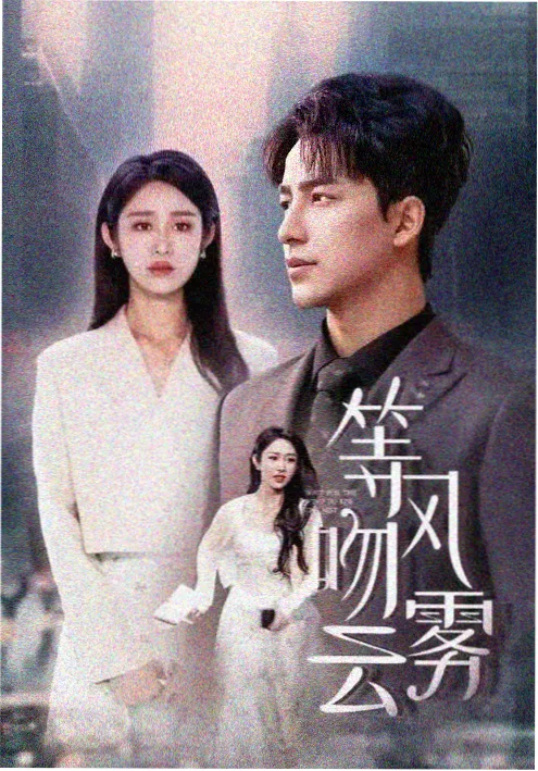 剧集：伪装者